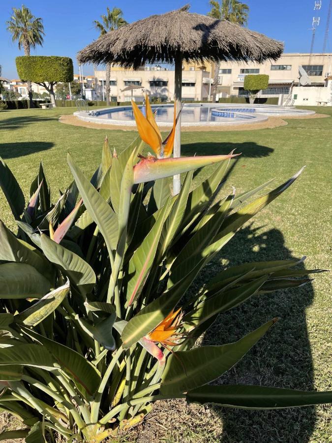 Apartamento Flamingo Gran Alacant Santa Pola Exteriér fotografie