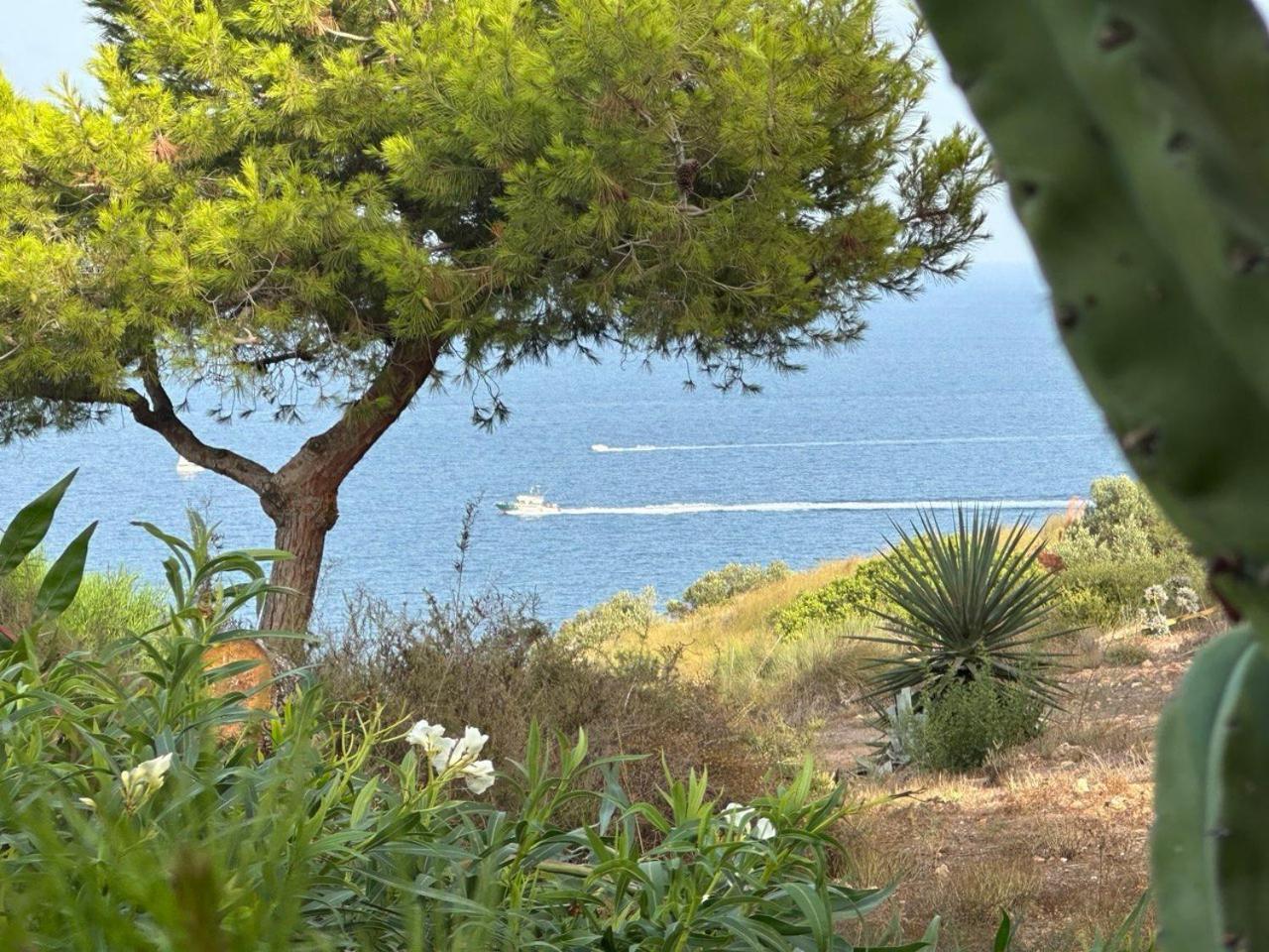 Apartamento Flamingo Gran Alacant Santa Pola Exteriér fotografie